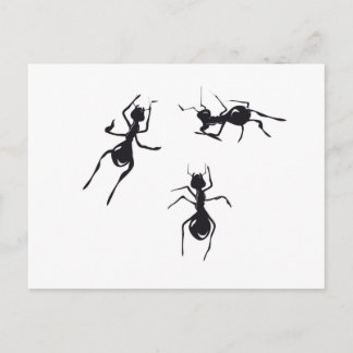 ANTS VYKORT