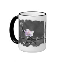 Antyda av den rosa körsbärsröda blommar