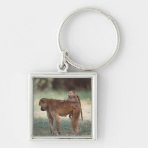 Anubis Baboon Fyrkantig Silverfärgad Nyckelring