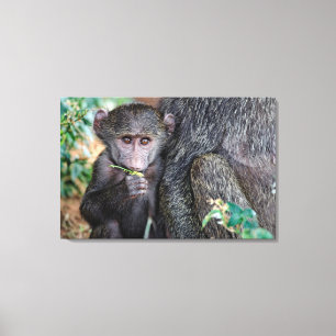 Anubus Baboon sjö Nat Manyara. Parkera Tanzania Canvastryck