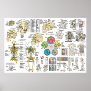 Använd kinesiologi Chiropraktic Osteopath Poster