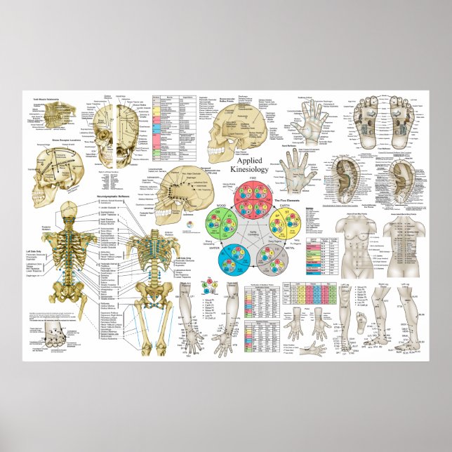 Använd kinesiologi Chiropraktic Osteopath Poster (Framsidan)