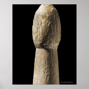 Använd träDrumstick Poster