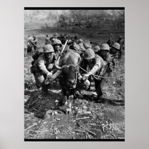 Använda alla tillgängliga elak_Krig-bilder Poster