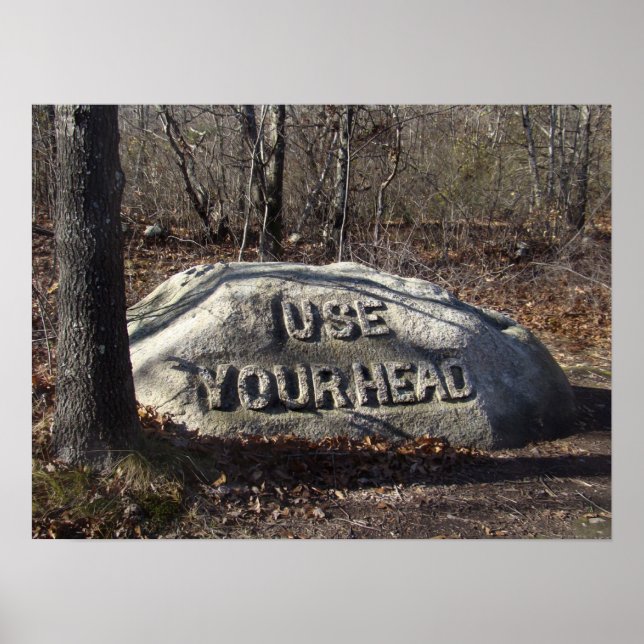 Använda din chef Babson Boulder Poster (Framsidan)