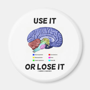 Använda eller förlorad (hjärnanatomi Humor) Magnet