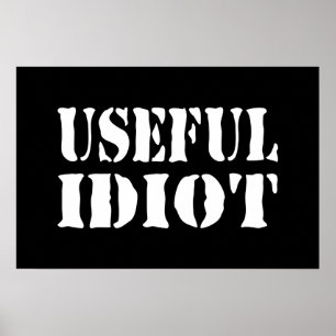 ANVÄNDBAR IDIOT POSTER
