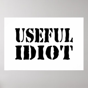 ANVÄNDBAR IDIOT POSTER
