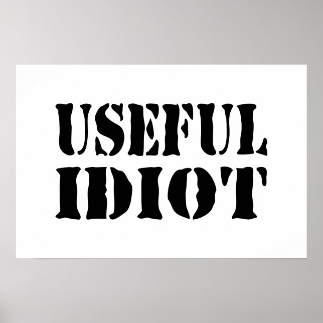 ANVÄNDBAR IDIOT POSTER (Framsidan)