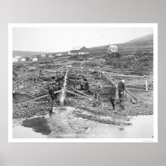 Anvil Bäck Guld Mine Alaska 1916 Poster