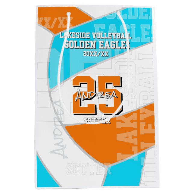 ANY team colors volleyball athlete name (Framsidan)