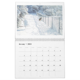 Anza, Kaliforniens tolvmånaderskalender Kalender