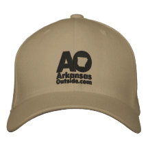 AO Embroized Twill Ballcap Embroied Baseball