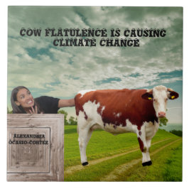 AOC-CLIMATE CHANGE* KAKELPLATTA