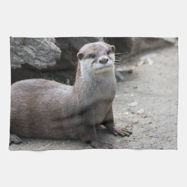 Aonyx cinerea kökshandduk (Horisontell)