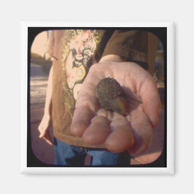 Aorn? Magnet (Framsidan)