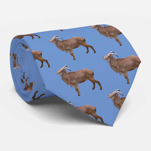 Aoudad Slips (Rullad)