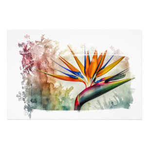*~* AP10 Bird of Paradise Art Painting #18 Fototryck