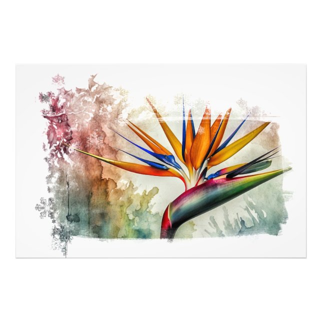 *~* AP10 Bird of Paradise Art Painting #18 Fototryck (Framsidan)