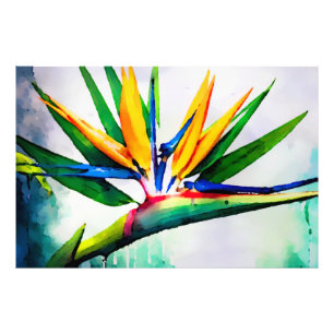 *~* AP10 Bird of Paradise Art Painting #23 Fototryck