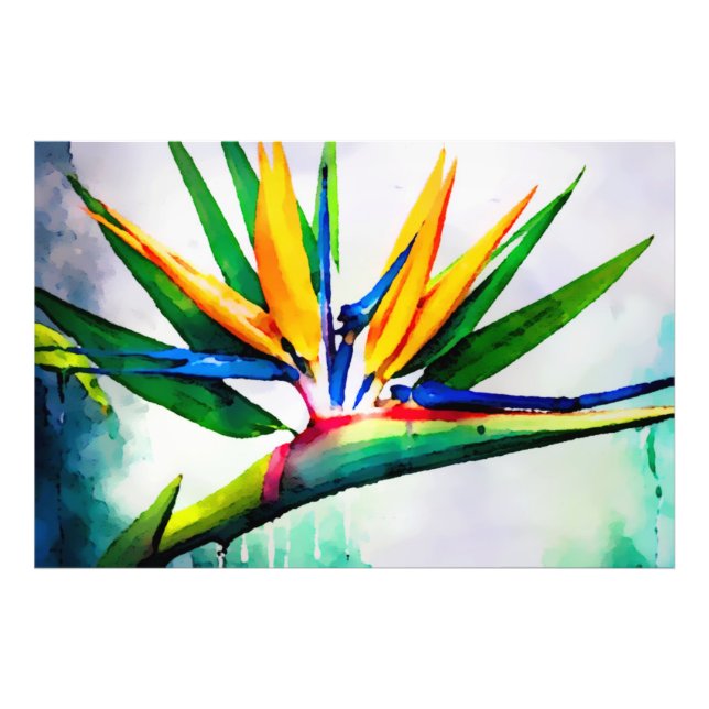 *~* AP10 Bird of Paradise Art Painting #23 Fototryck (Framsidan)