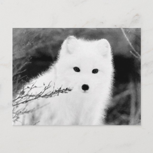 *~* AP18 Twig Fox White Snö Fox Arktisk Polar Vykort (Framsida)