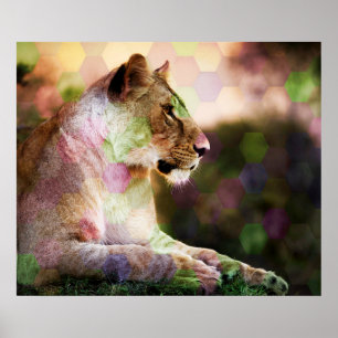 *~* AP23 Artistic RAINBOW Abstrakt LIONESS Art Poster