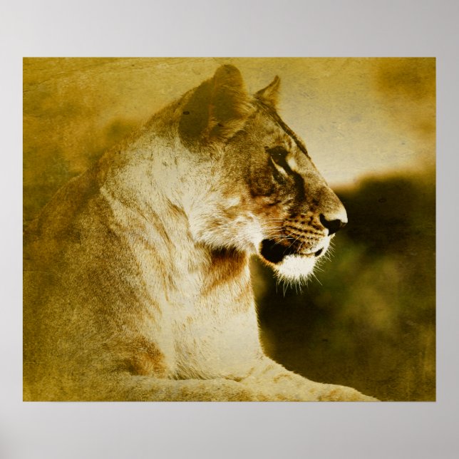 *~* AP23 Konstnärlig vattenfärg Golden LIONESS Art Poster (Framsidan)