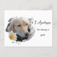 *~* AP61  Ledsen Tan Hund Apologerar Omsorgsfull B