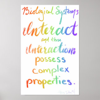 AP Biology Big Idea Fyra Poster