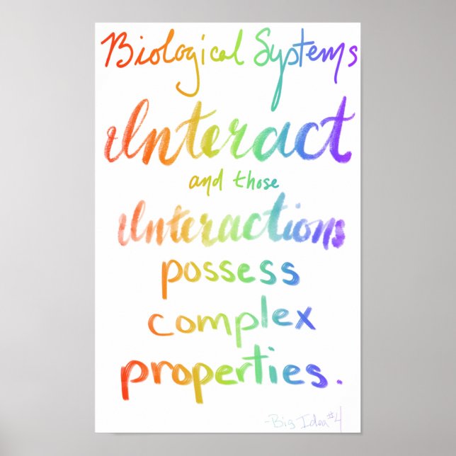 AP Biology Big Idea Fyra Poster (Framsidan)