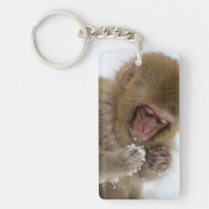 Apa för snö för Macaque   för baby japansk