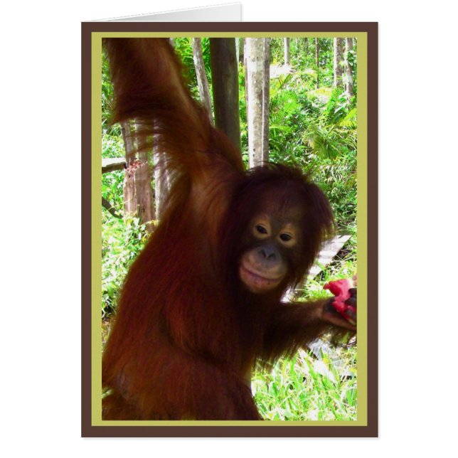 Apa för vattenmelon hälsningskort (Framsidan)