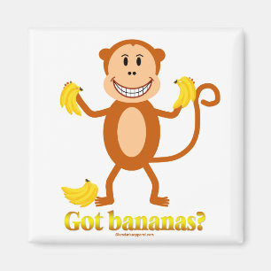 Apa - harbananer? magnet