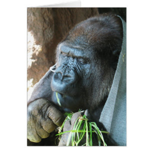 Apa huva ~ Japansk gorilla äter julkort Hälsningskort