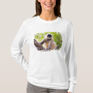Apa i djungeln i Ranthambore nationalpark Tee