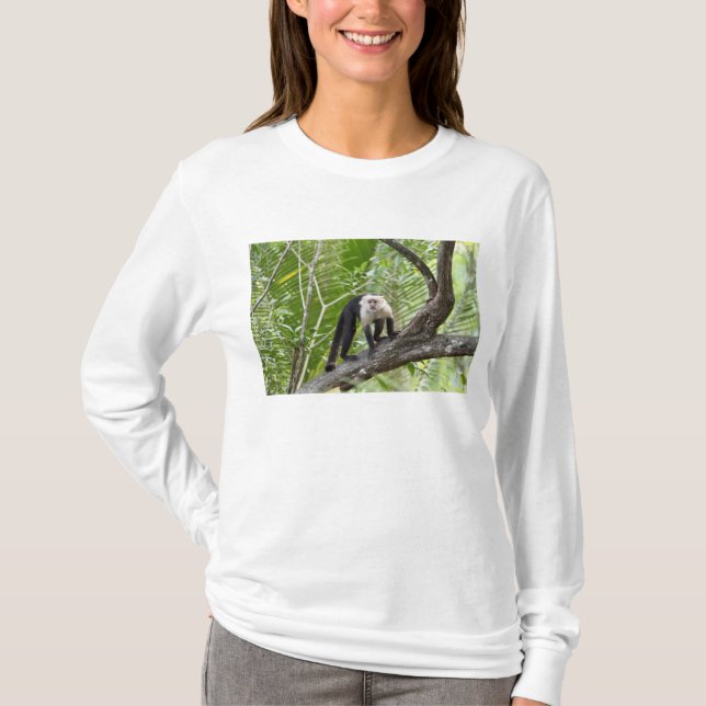 Apa i djungeln tee (Framsida)