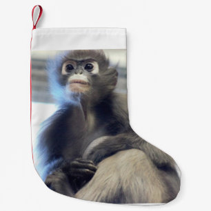 Apa Liten Julstrumpa