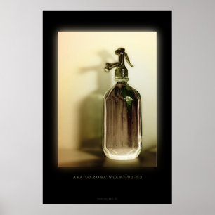 APA POSTER