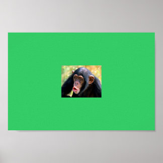 apa poster