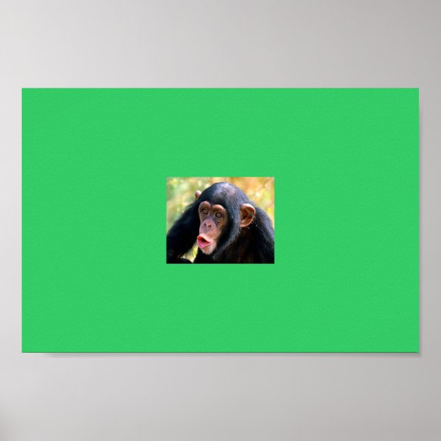 apa poster (Framsidan)