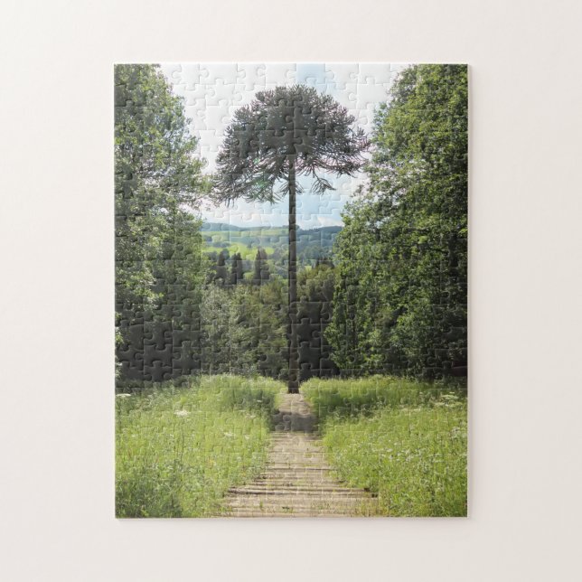 Apa-pussel Pussel (Vertikal)