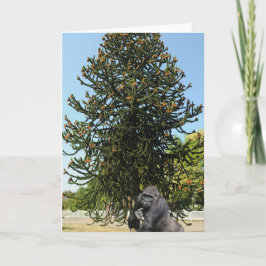 Apa Puzzle & Förvirrad Gorilla. Kort