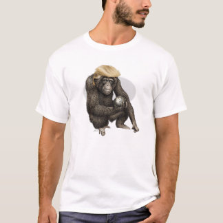 apa som håller t shirt