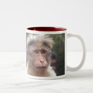 Apa tittar mugg