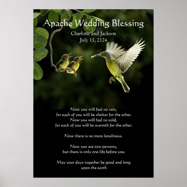 Apache Bröllop Blating Hummingbird matande spädbar Poster (Framsidan)