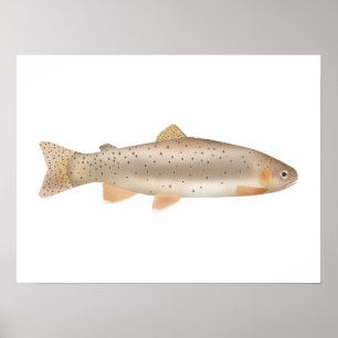 Apache Trout Poster