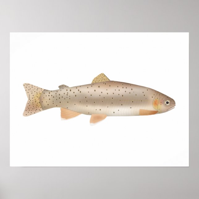 Apache Trout Poster (Framsidan)