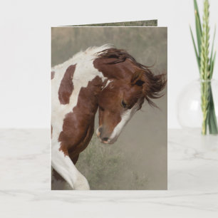 Apachs Vild Horse Greeting Card för Porträtt Kort