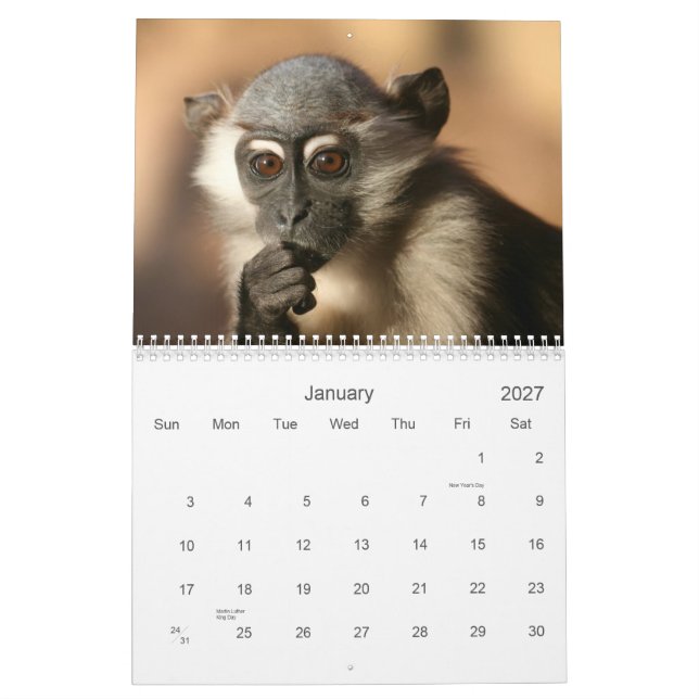 Apakalender 2013 kalender (Jan 2027)